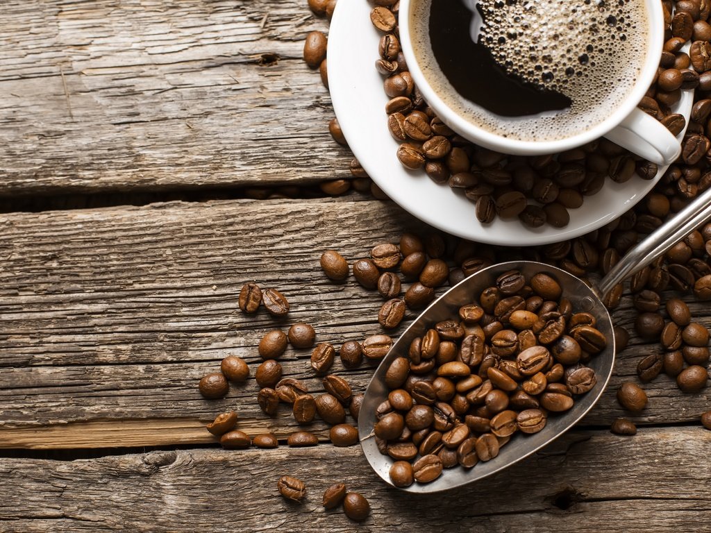 wholesale coffee beans supplier