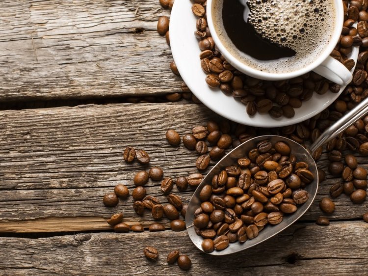 wholesale coffee beans supplier