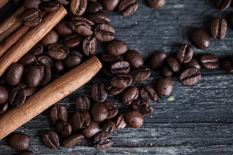 Wholesale Coffee beans