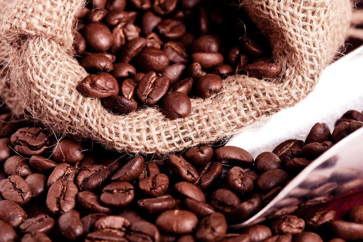 Best Quality Coffee Beans